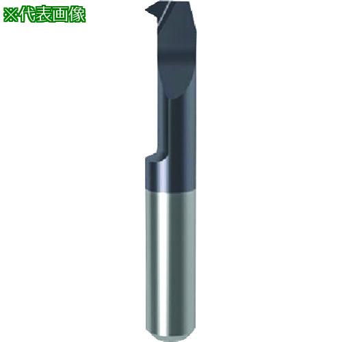 ■GUHRING 溝入れ工具 インサート 内径ねじ切り さらい刃なし メートル並目ねじ用 nanoAコート GG106.TM08.125.42.68.R〔品番:257666.013〕【1809140:0】[送料別途見積り][法人・事業所限定][掲外取寄][店頭受取不可]｜ホームセンターバロー　店