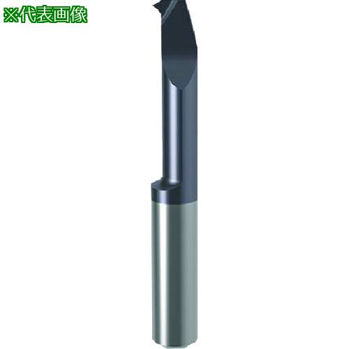 ■GUHRING 溝入れ工具 インサート 内径ねじ切り さらい刃付き メートル並目ねじ用 nanoAコート GG106.VM06.100.17.50.R〔品番:257746.020〕【1809154:0】[送料別途見積り][法人・事業所限定][掲外取寄][店頭受取不可]