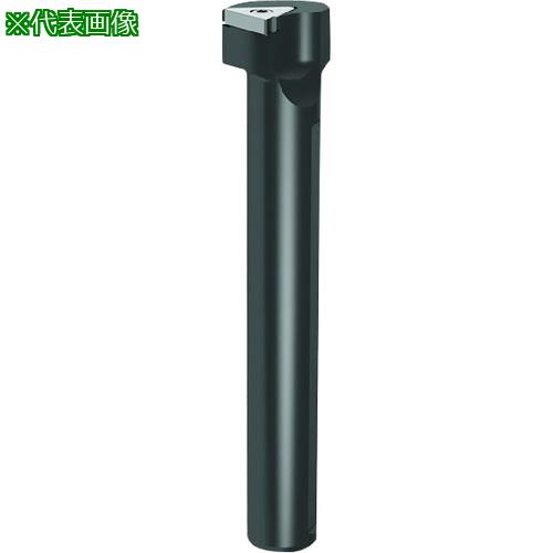 ■GUHRING 溝入れ工具 丸シャンクホルダ・内径加工用 外部給油 レギュラ- GB305.0020.150.90.06.R〔品番:2536812.004〕【1809158:0】[送料別途見積り][法人・事業所限定][掲外取寄][店頭受取不可]