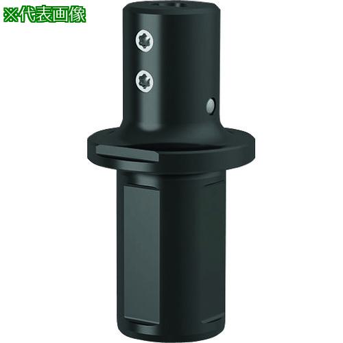■GUHRING 溝入れ工具 丸シャンクホルダ・4 面平取り付き レギュラ- GB106.1000.300.00.22.S.IK〔品番:253026.011〕【1809194:0】[送料別途見積り][法人・事業所限定][掲外取寄][店頭受取不可]