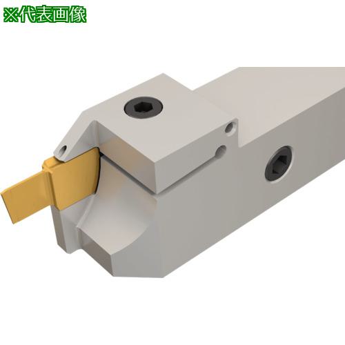 ■イスカル ドゥーグリップ 突っ切り・溝入れ加工用ホルダー BGTR/L-B-JHP〔品番:BGTR25.4BD20JHP〕【1811509:0】[送料別途見積り][法人・事業所限定][掲外取寄][店頭受取不可]