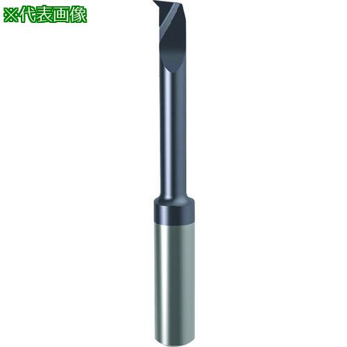 ■GUHRING 溝入れ工具 インサート 内径加工用 nanoAコート GT108.4767.010.42.70.L〔品番:271058.170〕【1812506:0】[送料別途見積り][法人・事業所限定][掲外取寄][店頭受取不可]｜ホームセンターバロー　店