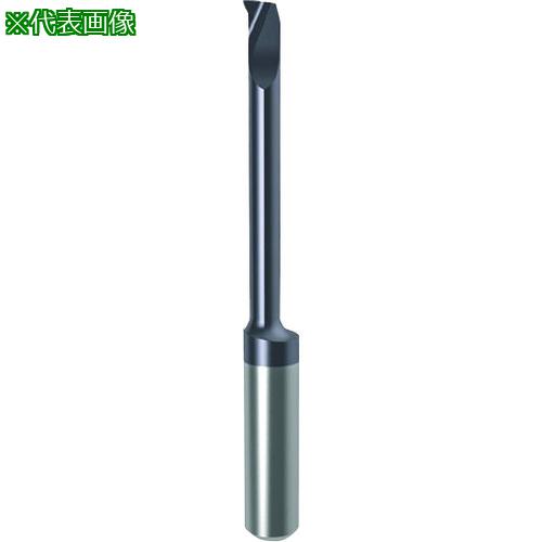 ■GUHRING 溝入れ工具 インサート 内径加工用 nanoAコート GT104.2326.005.17.30.R〔品番:250524.024〕【1815519:0】[送料別途見積り][法人・事業所限定][掲外取寄][店頭受取不可]