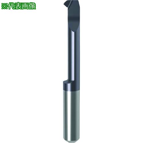 ■GUHRING 溝入れ工具 インサート 内径・面取り加工用 nanoAコート GT106.4557.030.32.60.L〔品番:257436.008〕【1815831:0】[送料別途見積り][法人・事業所限定][掲外取寄][店頭受取不可]