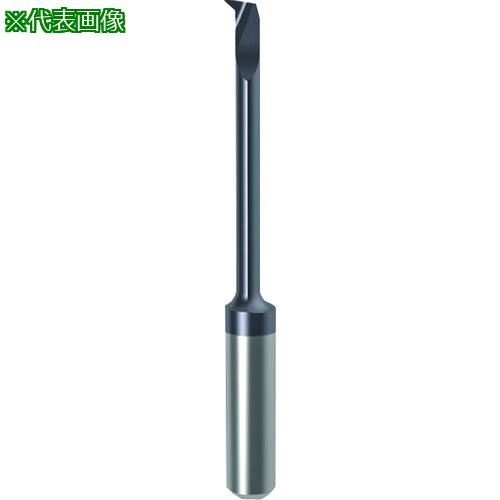 ■GUHRING 溝入れ工具 インサート 内径加工用 nanoAコート GT104.4727.005.12.30.R〔品番:250684.014〕【1818661:0】[送料別途見積り][法人・事業所限定][掲外取寄][店頭受取不可]