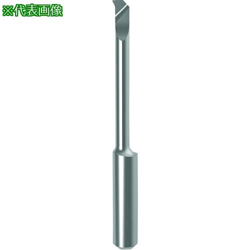 ■GUHRING 溝入れ工具 インサート 内径加工用 GT104.9026.010.22.30.L〔品番:250654.029〕【1823370:0】[送料別途見積り][法人・事業所限定][掲外取寄][店頭受取不可]