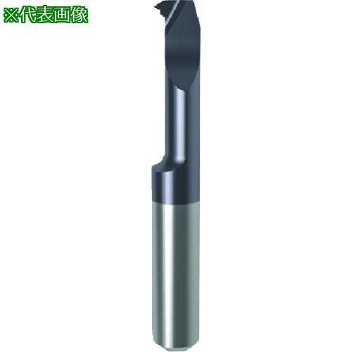 ■GUHRING 溝入れ工具 インサート 内径ねじ切り さらい刃付き メートル並目ねじ用 nanoAコート GG104.VM03.050.12.24.R〔品番:251664.006〕【1824847:0】[送料別途見積り][法人・事業所限定][掲外取寄][店頭受取不可]