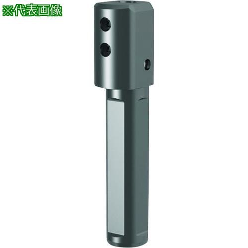 ■GUHRING 溝入れ工具 丸シャンクホルダ・クランプねじ上部 4面平取り付き レギュラ- GB106.0025.100.00.22.N.IK.VSP〔品番:253206.040〕【1824918:0】[送料別途見積り][法人・事業所限定][掲外取寄][店頭受取不可]