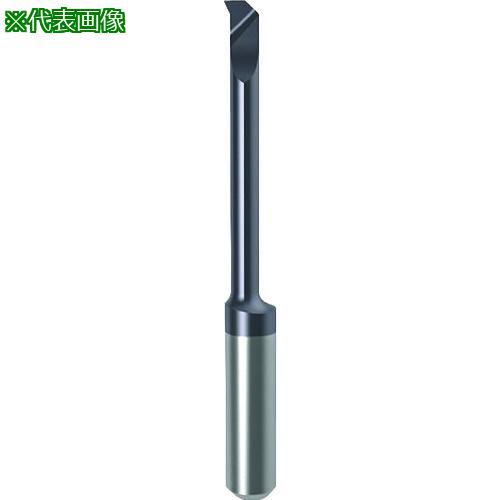 ■GUHRING 溝入れ工具 インサート 内径加工用 nanoAコート GT104.9019.010.12.20.L〔品番:250614.016〕【1824965:0】[送料別途見積り][法人・事業所限定][掲外取寄][店頭受取不可]