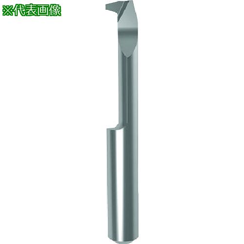 ■GUHRING 溝入れ工具 インサート 内径ねじ切り さらい刃なし - 台形ねじ GG106.TT08.200.22.60.R〔品番:258306.002〕【1825010:0】[送料別途見積り][法人・事業所限定][掲外取寄][店頭受取不可]