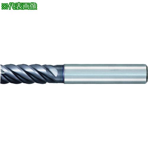 ■GUHRING 5枚刃エンドミル レギュラFIREコート 25mm〔品番:670925.000〕【1825117:0】[送料別途見積り][掲外取寄][店頭受取不可]｜ホームセンターバロー　店
