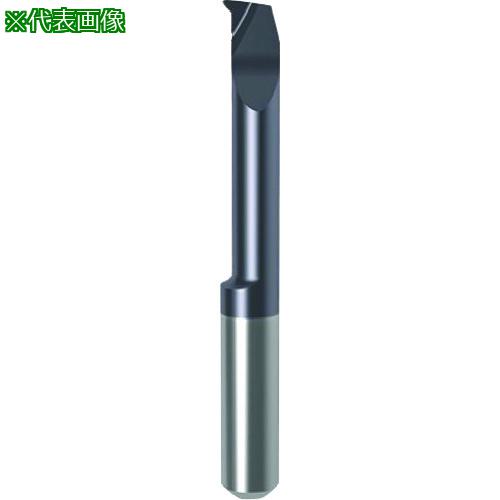 ■GUHRING 溝入れ工具 インサート 内径加工用 nanoAコート GT106.4757.020.22.60.R〔品番:257106.039〕【1826911:0】[送料別途見積り][法人・事業所限定][掲外取寄][店頭受取不可]