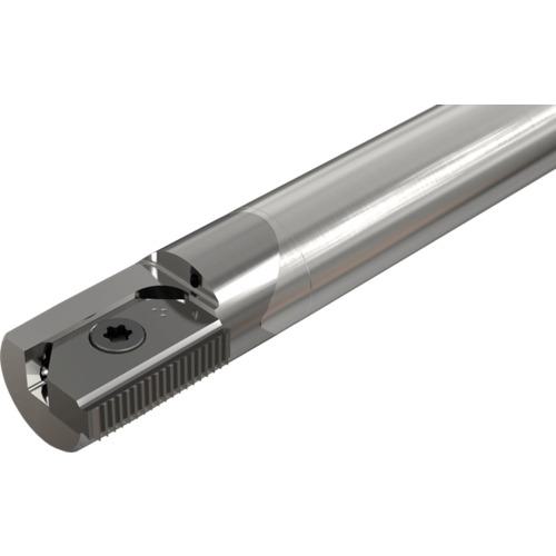 ■イスカル ミルスレッド チップ交換式エンドミル MTE D-C〔品番:MTED271C20C30〕【1827433:0】[送料別途見積り][法人・事業所限定][掲外取寄][店頭受取不可]