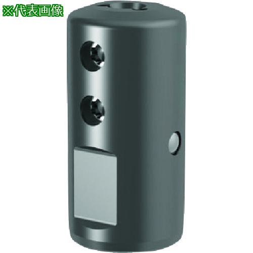 ■GUHRING 溝入れ工具 丸シャンクホルダ・上部クランプねじ Citizen machine用 レギュラ- GB106.1000.100.00.22.N.IK.CIT〔品番:253166.160〕【1828042:0】[送料別途見積り][法人・事業所限定][掲外取寄][店頭受取不可]｜ホームセンターバロー　店
