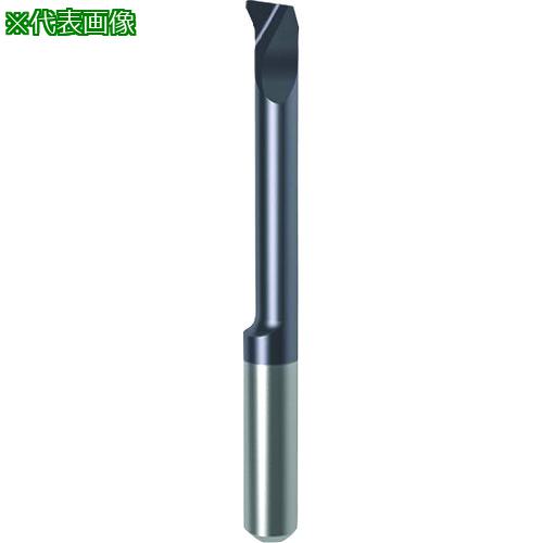 ■GUHRING 溝入れ工具 インサート 内径加工用 nanoAコート GJ104.2319.010.12.20.L〔品番:250934.003〕【1828439:0】[送料別途見積り][法人・事業所限定][掲外取寄][店頭受取不可]