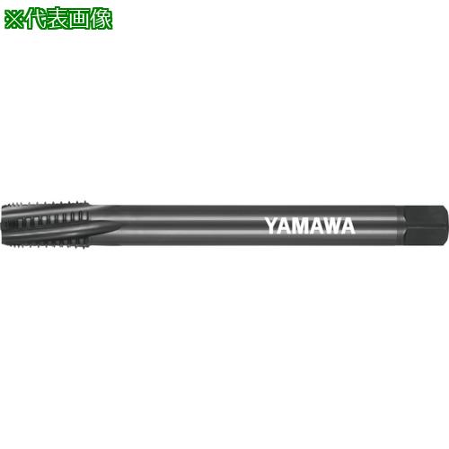 ■ヤマワ ロングシャンク管用テーパねじ用インタラップタップ長ねじ形 LS-INT-PT L150 1/2-14〔品番:LSINTPT1501214〕【1845016:0】[店頭受取不可]｜ホームセンターバロー　店 26,884円