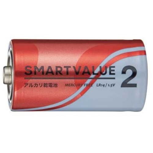 ■JTX 366082)アルカリ乾電池単2×100本 N122J-2P-50〔品番:N122J2P50〕【1966239:0】[送料別途見積り][掲外取寄][店頭受取不可]