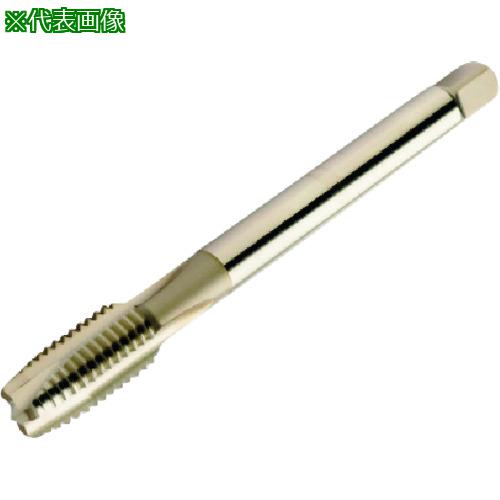 ■SANDVIK コロタップ200 ポイントタップ(780) B150〔品番:T200NM101DAM16〕【1980453:0】[送料別途見積り][店頭受取不可]