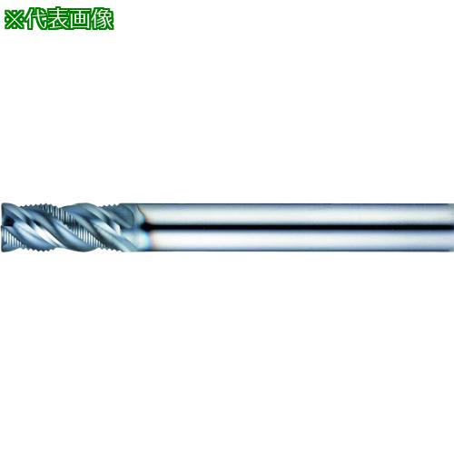 ■大見 チタン加工用エンドミル〔品番:OETT0060〕【1997574:0】[送料別途見積り][掲外取寄][店頭受取不可]