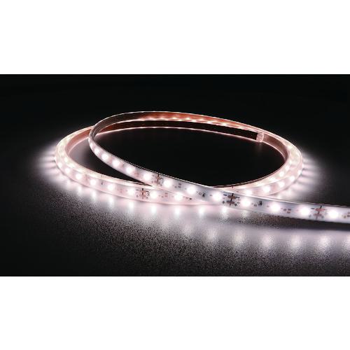 ■tlight LEDテープライト Viewdi 16.6mmP 4000K 2m巻 ACアダプター付〔品番:TLVD40316.6P2AD〕【2003367:0】[送料別途見積り][法人・事業所限定][外直送][店頭受取不可]