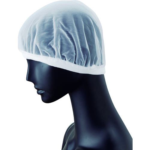 ■サンペックス ヘアネット 10枚入り 作業用 ホワイト F〔品番:G5076〕【2049751:0】[送料別途見積り][掲外取寄][店頭受取不可]