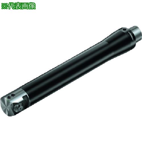 ■SANDVIK コロボア825ボウシンボディ(530)〔品番:C8R825CFAG387〕【2062700:0】[送料別途見積り][掲外取寄][店頭受取不可]｜ホームセンターバロー　店