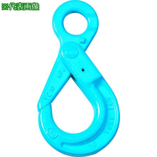 ■YOKE G-100 ロッキングフック(アイタイプ) 5.4T〔品番:X02513〕【2063700:0】[店頭受取不可]｜ホームセンターバロー　店