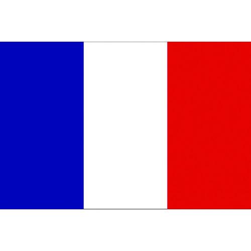 ■東京製旗 国旗No.2(90&times;135cm) フランス〔品番:426647〕【2073777:0】[店頭受取不可]｜ホームセンターバロー　店