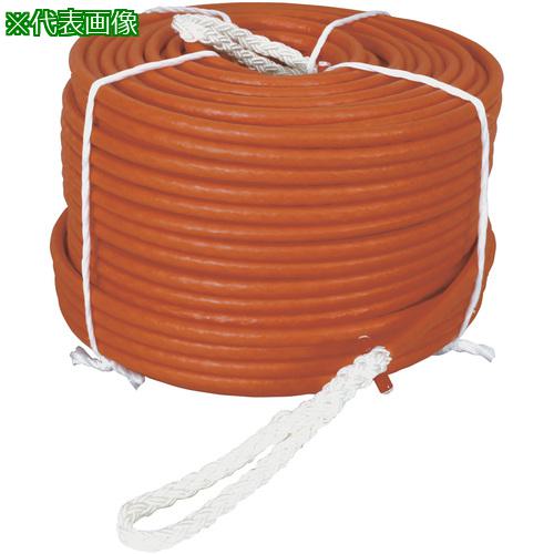■プロメイト ハンガーけん引ロープ 10mm 100M〔品番:R1010PE〕【2087148:0】[法人・事業所限定][外直送元][店頭受取不可]