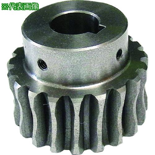 ■KHK ウォームホイールCG2-30R1J17〔品番:CG230R1J17〕【2099491:0】[送料別途見積り][掲外取寄][店頭受取不可]