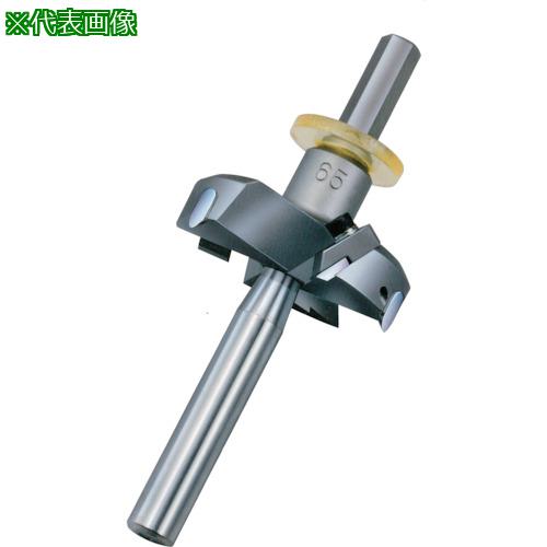 ■大日商 超硬安全座堀カッター AZ655 65&times;5分〔品番:AZ655〕【2128026:0】[送料別途見積り][掲外取寄][店頭受取不可]｜ホームセンターバロー　店 8,791円