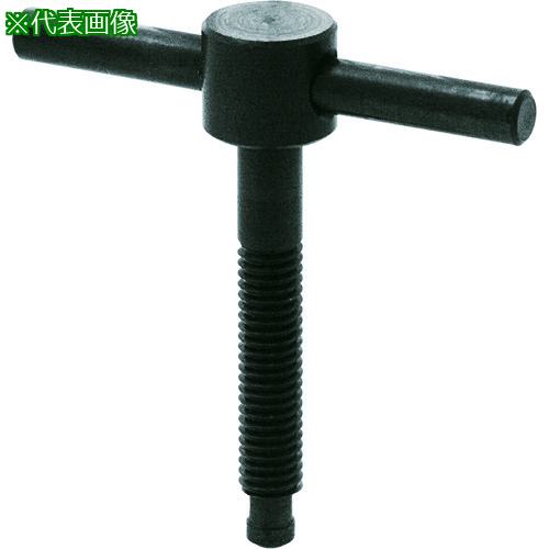 ■kipp Tバーノブ〔品番:TBKF20X90〕【2128483:0】[送料別途見積り][掲外取寄][店頭受取不可]