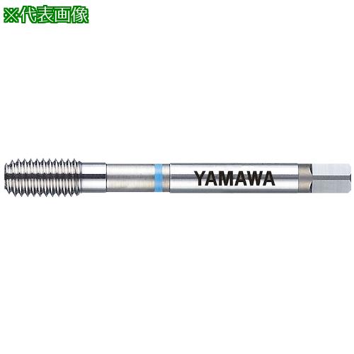 ■ヤマワ ねじ簡易検査ツール SIT M22X1 6H GB〔品番:SITM22X16HGB〕【2150589:0】[店頭受取不可]