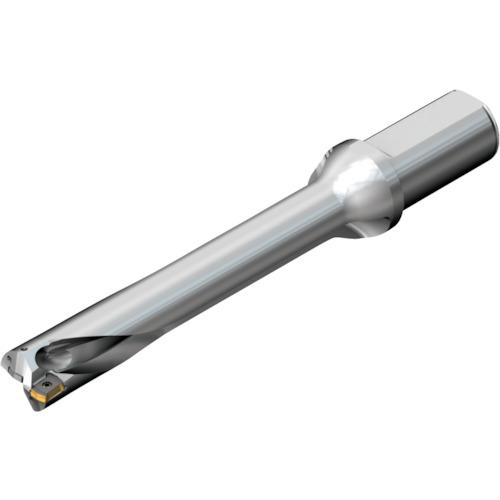 ■SANDVIK コロドリルDS20刃先交換式ドリル(465)〔品番:DS20D2700L3206〕【2160979:0】[店頭受取不可]