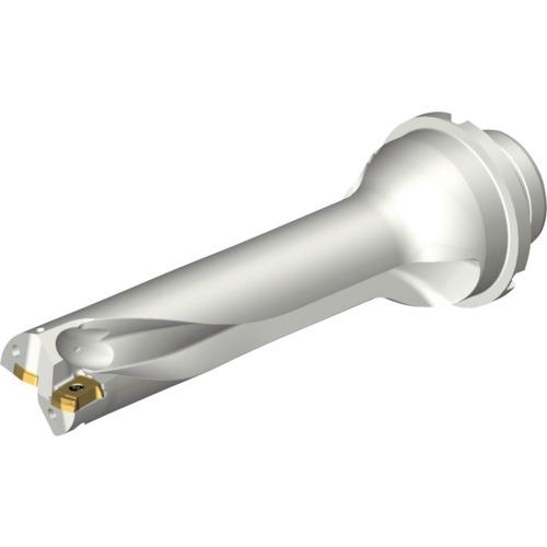 ■SANDVIK コロドリルDS20刃先交換式ドリル(465)〔品番:DS20D2697DM3204〕【2161004:0】[送料別途見積り][店頭受取不可]｜ホームセンターバロー　店