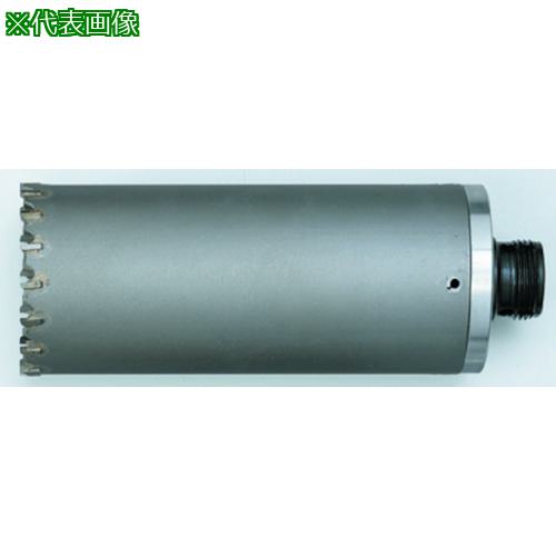 ■ハウスB.M 回転振動兼用コアドリル(ボディのみ)〔品番:KCB70〕【2161843:0】[送料別途見積り][掲外取寄][店頭受取不可]｜ホームセンターバロー　店
