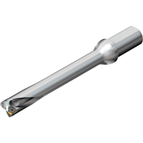 ■SANDVIK コロドリルDS20刃先交換式ドリル(465)〔品番:DS20D3650LX3807〕【2162533:0】[送料別途見積り][店頭受取不可]