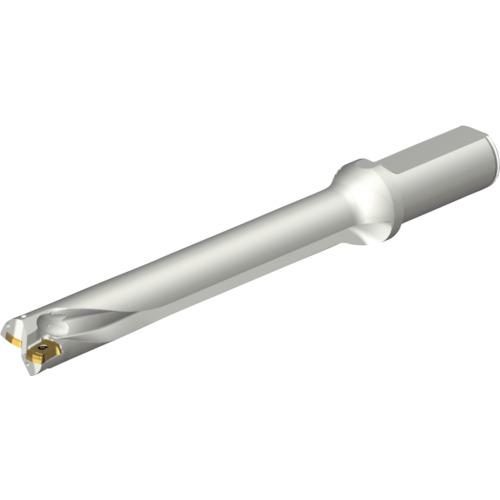■SANDVIK コロドリルDS20刃先交換式ドリル(465)〔品番:DS20D2223LX2507〕【2162542:0】[送料別途見積り][店頭受取不可]｜ホームセンターバロー　店