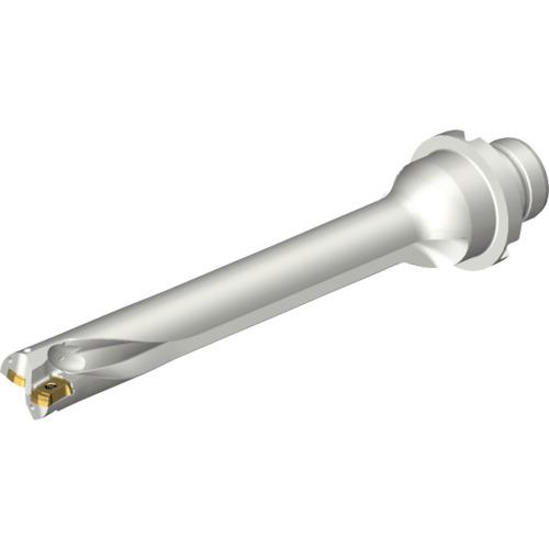 ■SANDVIK コロドリルDS20刃先交換式ドリル(465)〔品番:DS20D1600DM2007〕【2162560:0】[送料別途見積り][店頭受取不可]