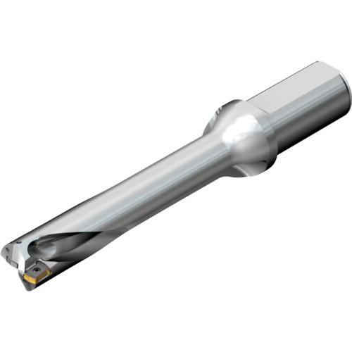 ■SANDVIK コロドリルDS20刃先交換式ドリル(465)〔品番:DS20D2697LX3105〕【2164085:0】[送料別途見積り][店頭受取不可]｜ホームセンターバロー　店