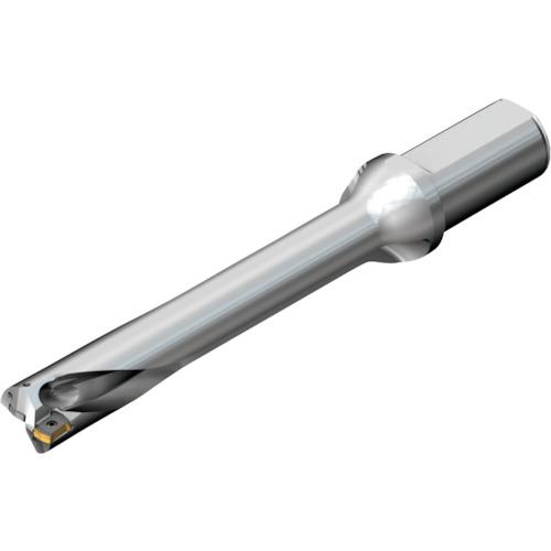 ■SANDVIK コロドリルDS20刃先交換式ドリル(465)〔品番:DS20D2800L3206〕【2165717:0】[店頭受取不可] 66,913円