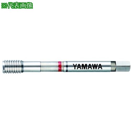 ■ヤマワ ねじ簡易検査ツール SIT M24X2 6H NB〔品番:SITM24X26HNB〕【2174256:0】[店頭受取不可]