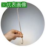 ■IWATA スタンダードフック鉄(角曲げ)600本入〔品番:300X3.090DVX2〕【2216249:0】[法人・事業所限定][直送元][店頭受取不可]｜ホームセンターバロー　店