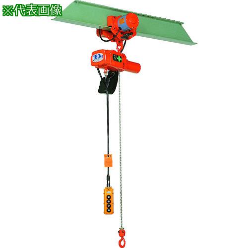 ■象印 電気チェーンブロック 100kg 揚程9m (αHM-01 9m)〔品番:AHMK1090〕【2216494:0】[送料別途見積り][法人・事業所限定][外直送][店頭受取不可]