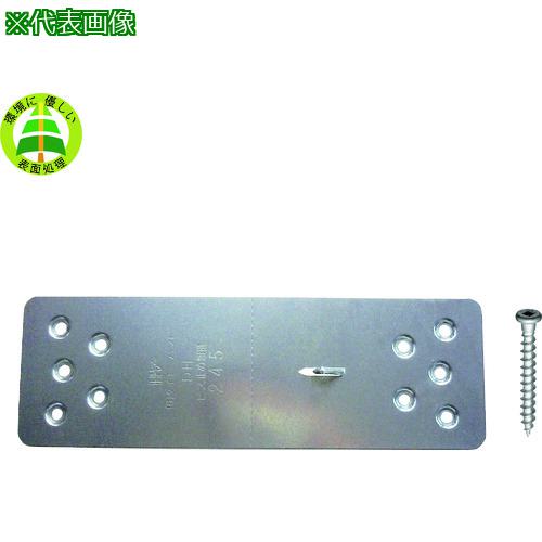 ■DAIDOHANT DH ビス止め短冊 245 50入〔品番:00036448〕【2238787:0】[送料別途見積り][掲外取寄][店頭受取不可]｜ホームセンターバロー　店