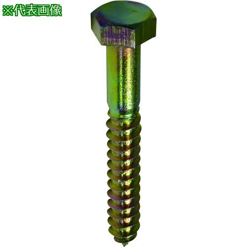 ■DAIDOHANT クロメート コーチスクリュー 12×210(19頭)(50本)〔品番:00040064〕【2239660:0】[送料別途見積り][掲外取寄][店頭受取不可]
