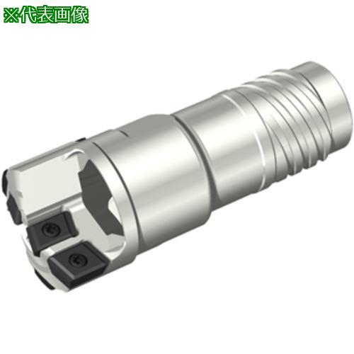 ■タンガロイ FINE-BEAM ソリッドドリルヘッド STS-EX〔品番:FNBM06S35.00〕【2239900:0】[送料別途見積り][掲外取寄][店頭受取不可]