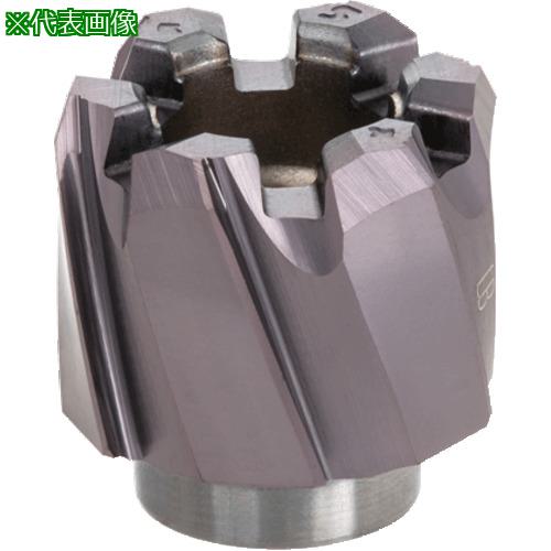 ■タンガロイ リーム・マイスター 貫通穴用左ねじれ溝付きリーマヘッド HRM-BLT AH725〔品番:HRM31.000BLT9〕【2247876:0】[送料別途見積り][掲外取寄][店頭受取不可]｜ホームセンターバロー　店