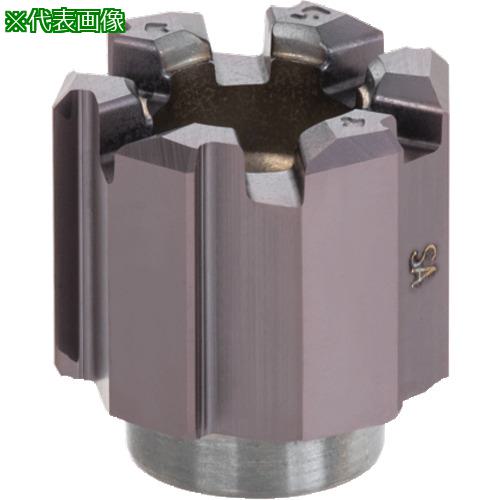 ■タンガロイ リーム・マイスター 止まり穴用直溝付きリーマヘッド HRM-AS AH725〔品番:HRM31.000AST9〕【2250936:0】[送料別途見積り][掲外取寄][店頭受取不可]