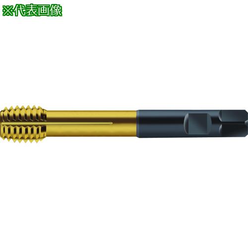 ■Prototyp 転造タップ〔品番:S2066305M12〕【2267183:0】[送料別途見積り][掲外取寄][店頭受取不可]｜ホームセンターバロー　店